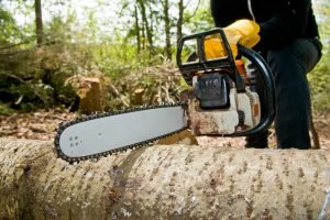 Why Quality Tree Service is Essential for Property Value